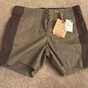 BNWT democracy